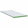 Coussins de Matelas Blanc et vert 90 x 200 cm 