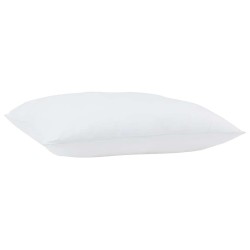 Oreillers 2 pcs Blanc 50 x 50 cm 