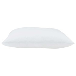 Oreillers 2 pcs Blanc 50 x 50 cm 
