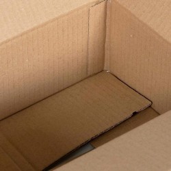 Boîte pliante 50 pcs 25x17,5x10 cm Carton 