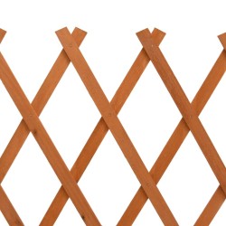 Clôture en treillis de jardin Orange 120x60 cm Bois de sapin 
