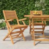 Chaises de jardin pliantes lot de 2 55x62x90cm bois massif teck 
