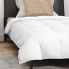 Couette avec oreiller 2 pcs Blanc 140 x 200 cm Bas 