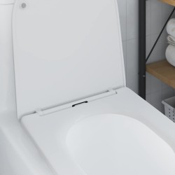 Toilettes avec fermeture douce, rapide à retirer, en duroplast blanc 