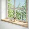 Appuis de fenêtre 2 pcs non traité 100x30x2cm bois chêne massif 