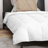 Couette avec oreiller 2 pcs Blanc 135 x 200 cm Bas 