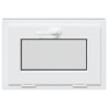 Fenêtre sous-sol RISOR 60x40 cm inclinable 2vitrages anthracite 