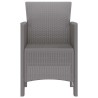 Chaises de jardin 4 pcs Gris clair 53 x 49 x 85 cm Plastique 