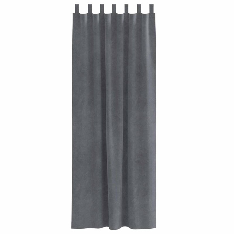 Rideaux occultants avec boucles de suspension 2 pcs en velours gris clair super léger 