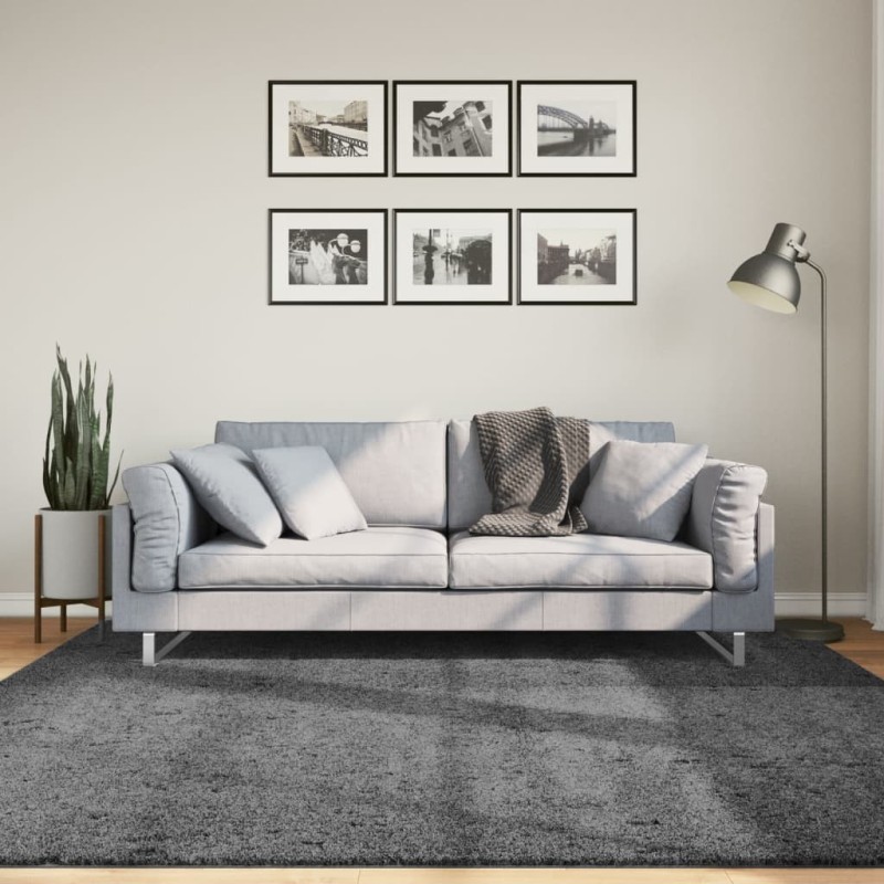 Tapis OVIEDO à poils courts anthracite 200x200 cm 