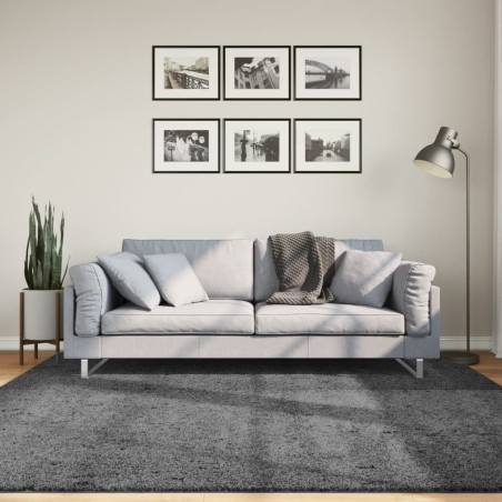 Tapis OVIEDO à poils courts anthracite 200x200 cm 