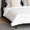 Couette Autre avec oreiller 3 pcs Blanc 200 x 220 cm Microfibre 