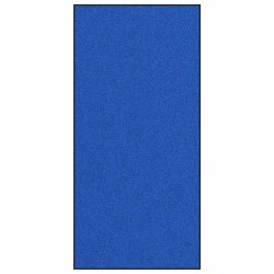 Tapis de porte lavable bleu 120x250 cm 