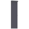 Boîte de dépôt de colis Anthracite 44.5 x 29 x 110.5 cm Acier 