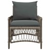 Chaise de jardin avec coussins Gris en poly rotin 