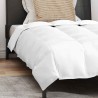 Couette avec oreiller 2 pcs Blanc 140 x 200 cm Bas 