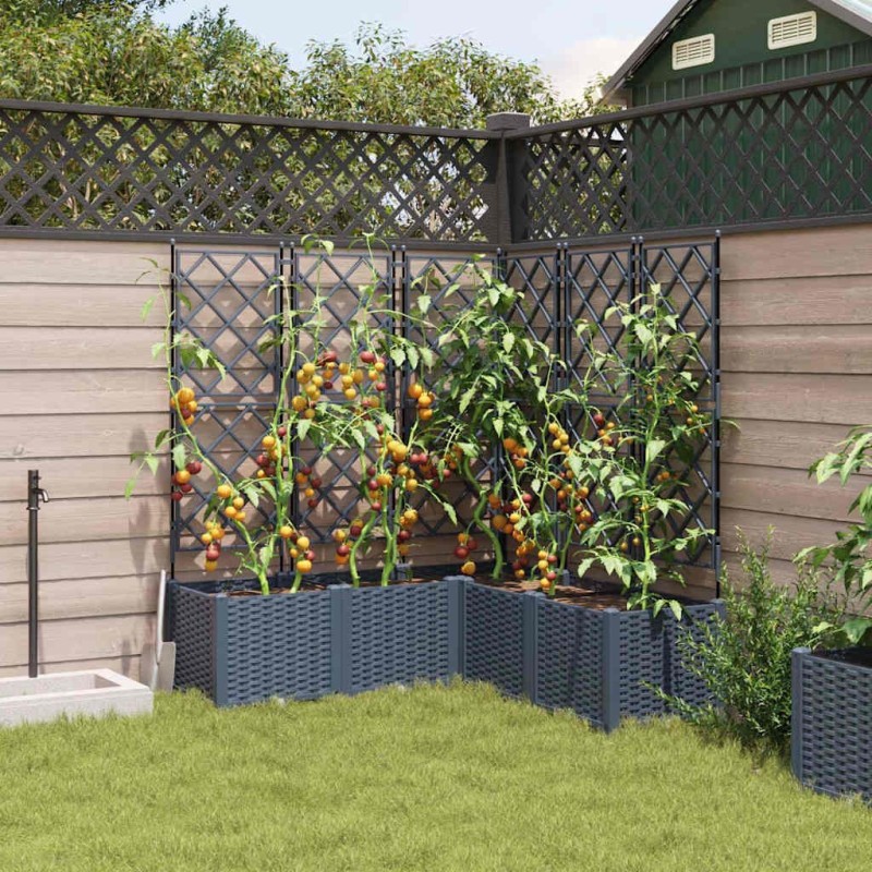 Jardinière avec Treillis 5 pcs Gris 120x120x143 cm 