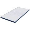 Coussins de Matelas Blanc et Bleu 100 x 200 cm 