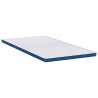 Coussins de Matelas Blanc et Bleu 100 x 200 cm 