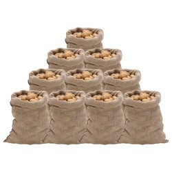 Sacs en jute 10 pcs 60x105 cm 100 % jute 220 g/m² 