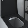 Siège de toilette à déclenchement rapide avec fermeture douce Duroplast Noir 