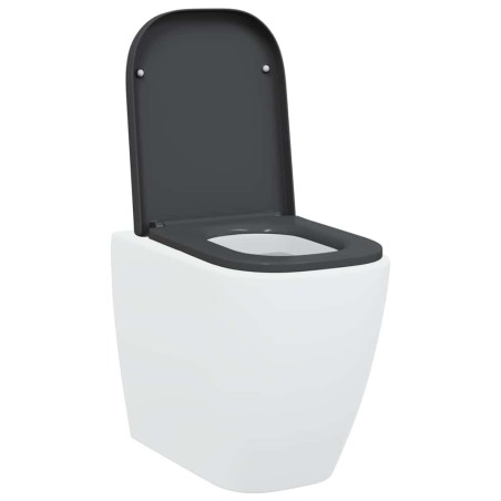 Siège de toilettes à libération rapide avec système de fermeture douce en duroplast anthracite 