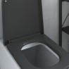 Siège de toilettes à libération rapide avec système de fermeture douce en duroplast anthracite 
