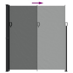 Auvent latéral rétractable anthracite 220x600 cm 