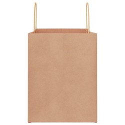 Sacs en papier 50 pcs avec poignées marron 32x22x28 cm 