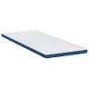 Coussins de Matelas Blanc et Bleu 80 x 200 cm 