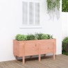 Lit surélevé de jardin 121x50x57 cm bois Douglas massif 