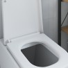 Siège de toilette à fixation rapide avec fermeture douce en Duroplast blanc 