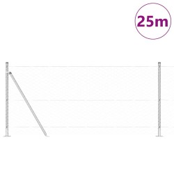 Ensemble de clôture Lot de 2 Acier galvanisé 25 x 1 m Durable 