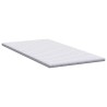 Coussins de Matelas Blanc 100 x 200 cm Polyester sans colle 