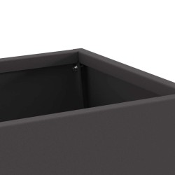 Braise de vieXL avec rangement pour bûches Noir 60x35x100 cm Acier 