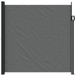 Auvent latéral rétractable anthracite 200x300 cm 