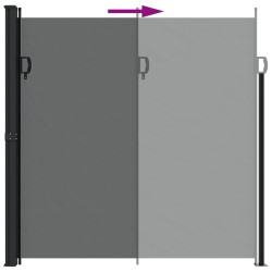 Auvent latéral rétractable anthracite 200x300 cm 