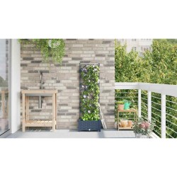 Jardinière avec treillis grise 40x40x125,5 cm 