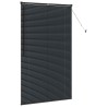 Store de Fenêtre avec des rideaux Autre Noir 105 x 175 cm Aluminium 