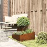 Pots & Jardinières Acier Corten Moyen Durable Pot en métal 