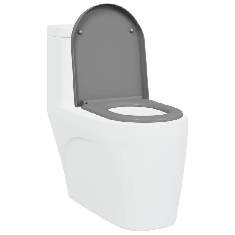 Siège de Toilette à Libération Rapide avec Fermeture Douce Duroplast Gris de 
