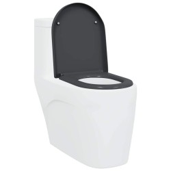 Siège de toilette à libération rapide avec fermeture douce en Duroplast Anthracite 