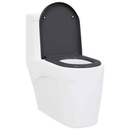 Siège de toilette à libération rapide avec fermeture douce en Duroplast Anthracite 