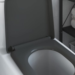 Siège de toilette à libération rapide avec fermeture douce en Duroplast Anthracite 