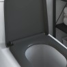 Siège de toilette à libération rapide avec fermeture douce en Duroplast Anthracite 