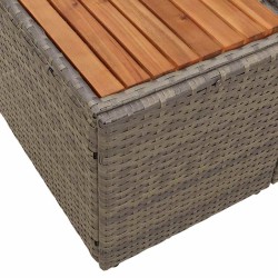 Canapé de jardin 2 places avec rangement et coussins gris en poly rattan 