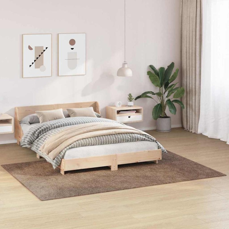 Tapis shaggy avec dos en latex Marron 160x230 cm 