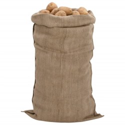 Sacs en jute 10 pcs 65x135 cm 100 % jute 340 g/m² 