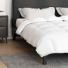 Couettes & Duvets Blanc 200 x 200 cm Bas 