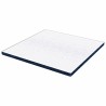 Coussins de Matelas Blanc et Bleu 180 x 200 cm 
